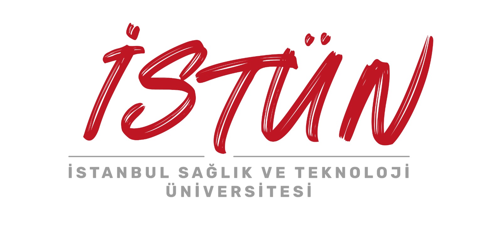 Istanbul Health and Technology University